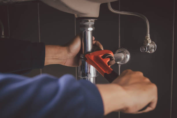 Best Residential Plumbing Services  in West Dundee, IL